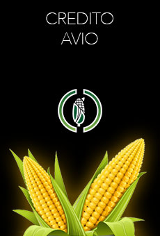 Crédito Avío