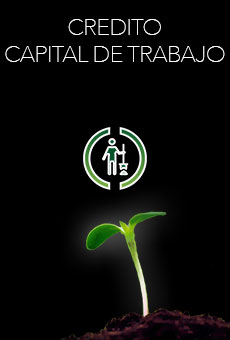 Crédito Capital de Trabajo