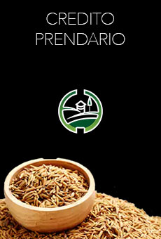 Crédito Prendario