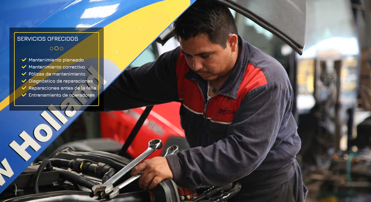 Servicios Ofrecidos