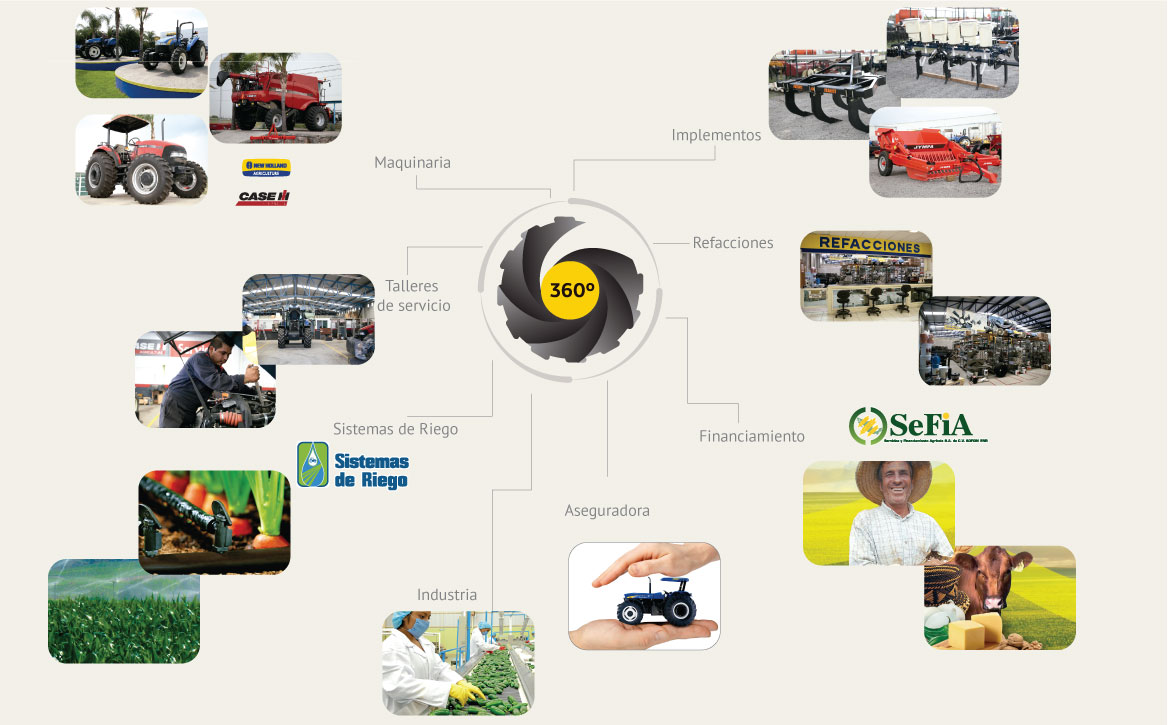 Servicio Integral 360°